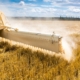 Liming Crops, Agriculture